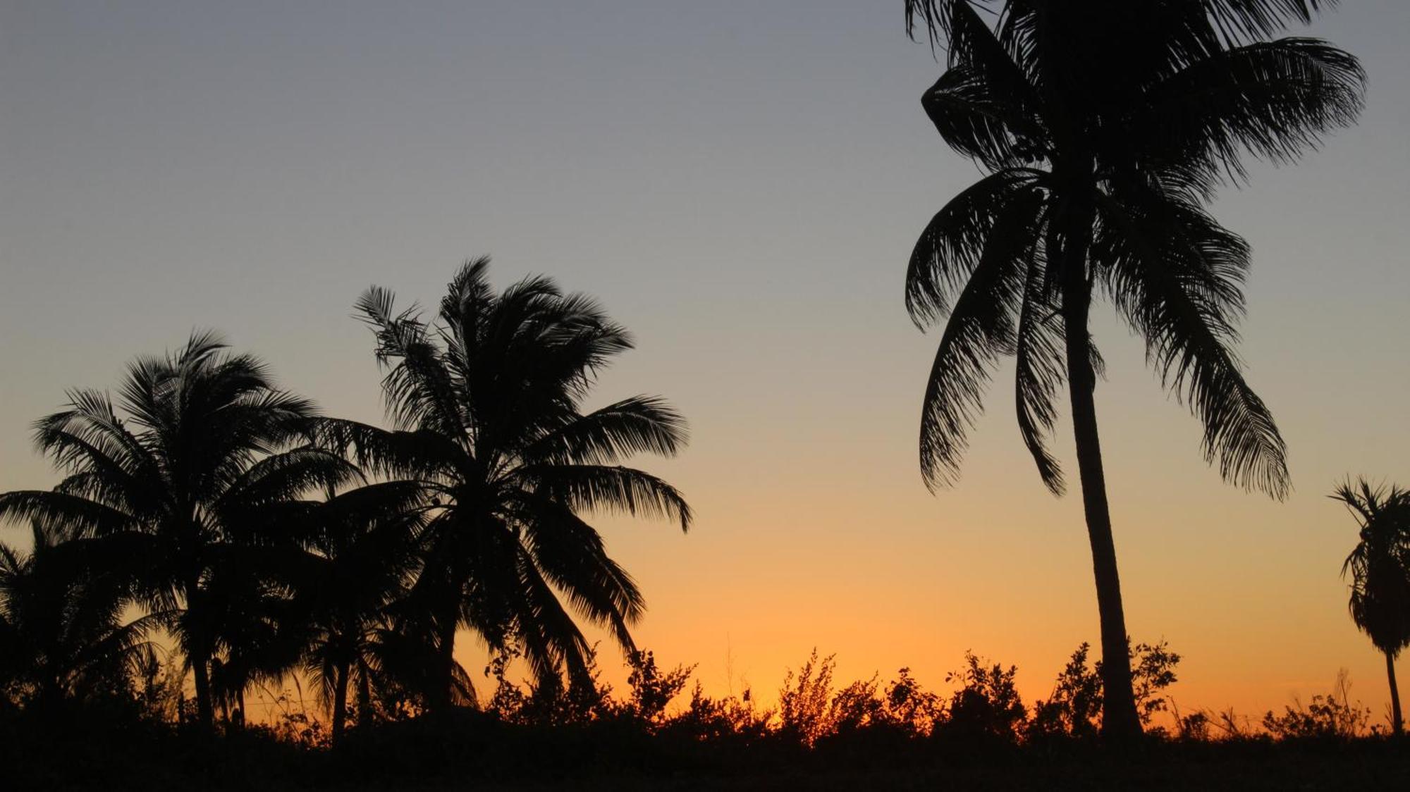 Ikarus Costa Mujeres Eco Lodge Sunset View Cancún Exteriör bild