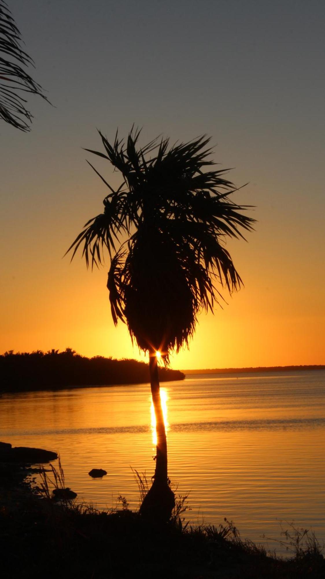 Ikarus Costa Mujeres Eco Lodge Sunset View Cancún Exteriör bild