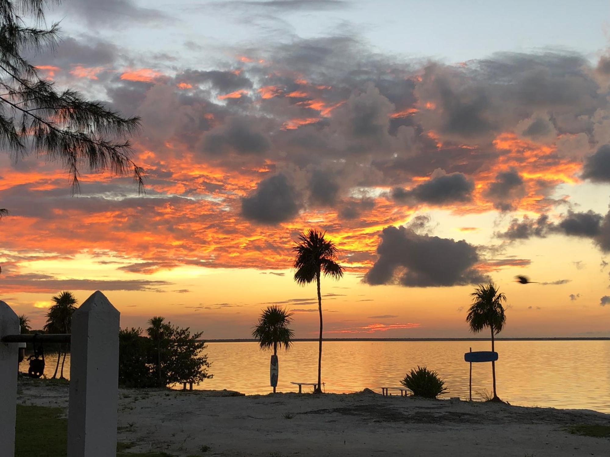 Ikarus Costa Mujeres Eco Lodge Sunset View Cancún Exteriör bild
