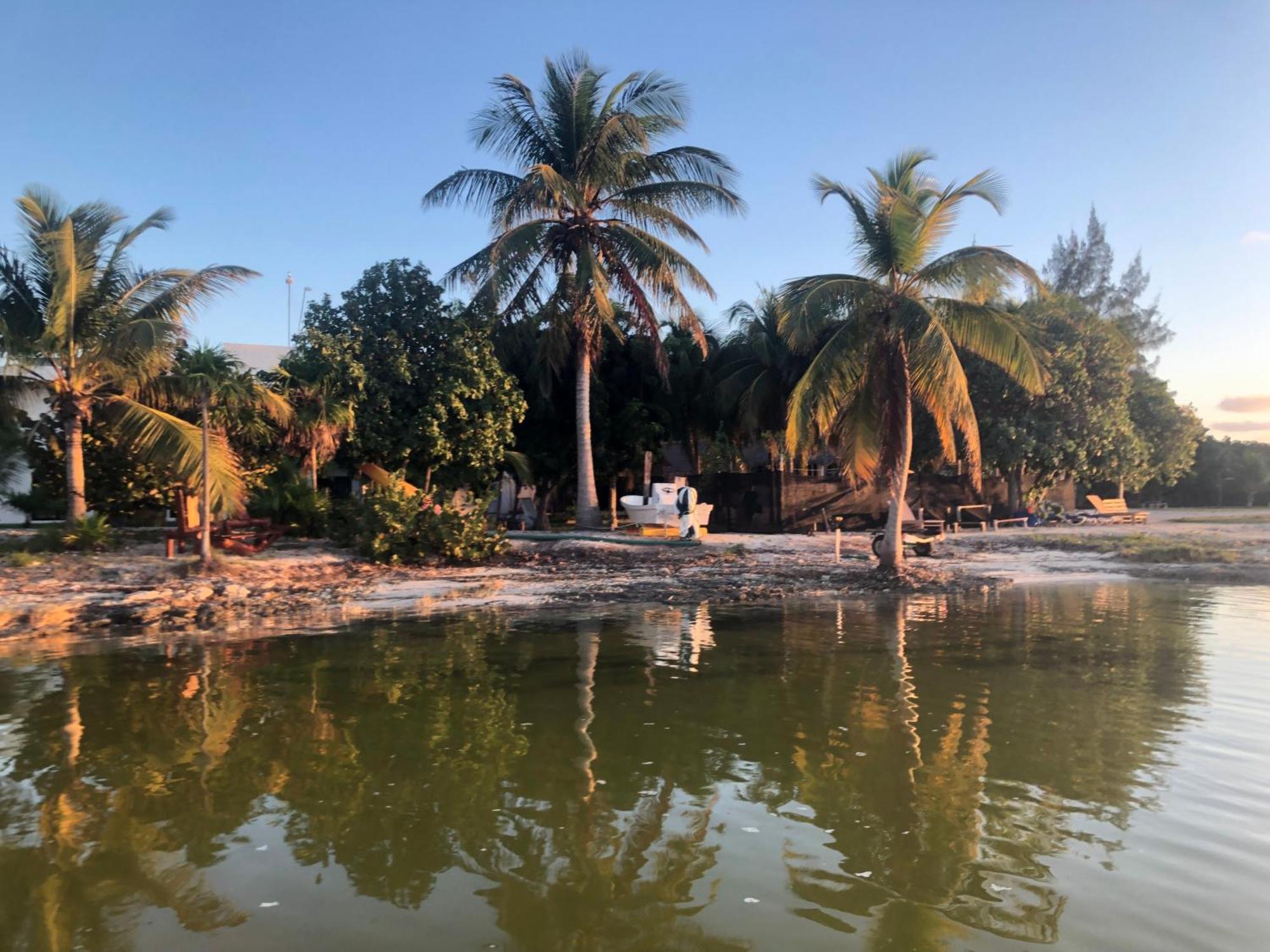 Ikarus Costa Mujeres Eco Lodge Sunset View Cancún Exteriör bild