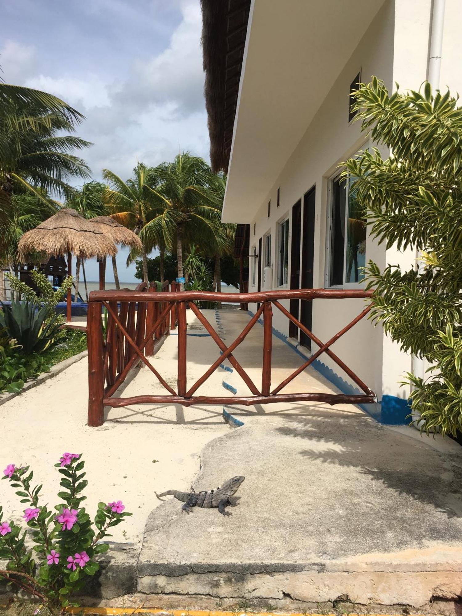 Ikarus Costa Mujeres Eco Lodge Sunset View Cancún Exteriör bild